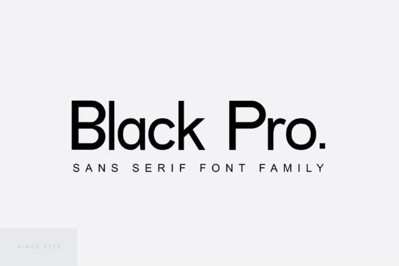 Black Pro: A Modern Sans Serif for Digital Brands