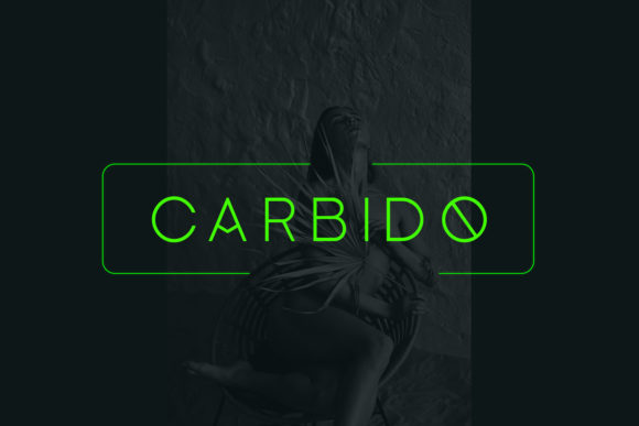 Carbido: A Modern Sans Serif Font for Crafters