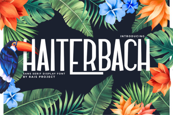 Haiterbach: A Modern Sans Serif Font for Web Design