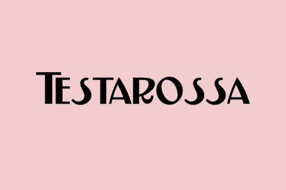 Testarossa: A Clean Sans Serif Font for Branding