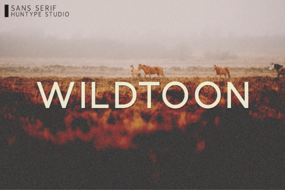 Wildtoon: The Versatile Sans Serif Font for Business